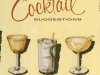 COCKTAIL SUGGESTION